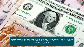 تغييرات كبيرة.. أسعار الدولار واليورو والريال والدرهم تتباين أمام الجنيه المصري في البنوك